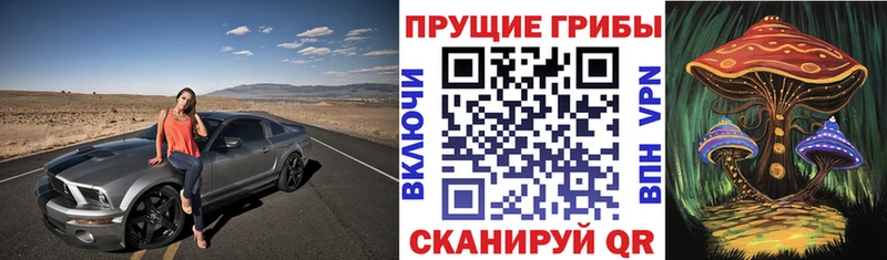 blacksprut ТОР  что такое наркотик  Юрюзань  Псилоцибиновые грибы мухоморы 